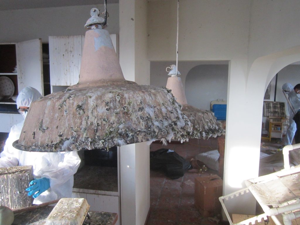 Remoción de excremento de Palomas y Aves.